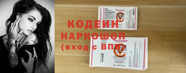 дурь Няндома