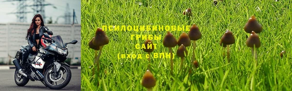 прущая мука Новодвинск